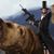 Jon Chase's profile image