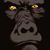 James Waters's profile image