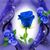Enedina Santillan's profile image