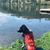 Kristi Brookshire's profile image