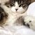 Marcy Disbrow Thornton's profile image