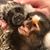 Alicia Frumes's profile image