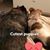 Kimberly Donahoo's profile image