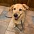 Betty Teague Flohr's profile image