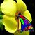 Angie B. Kosloski's profile image