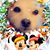 Ella Gottschling's profile image