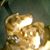 John Samuel Hostetter's profile image