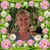 Debra Schuler's profile image