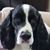 Lori DiLorenzo Ware's profile image