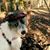 Terri Marshall Lowe's profile image