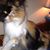 Keia Linehart's profile image