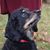 Corry Gallagher Ahrens's profile image