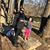 Ayesha Mazhar's profile image