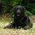Clayton Silves's profile image