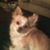 Adrienne Bowman Harden's profile image