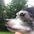 Valerie Colombo-Pappachristos's profile image