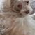 Donna Wollam's profile image