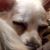 Bonnie Braun's profile image