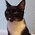 Dane Waters's profile image