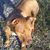 Lili Busick's profile image