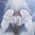 Kelly Ogg Jaros's profile image