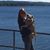 Molly Bezio's profile image
