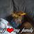 David E Crone's profile image