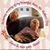 Judith Hanner Walker's profile image