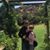 Heather Coursen's profile image