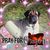 Debbie Morris-Ewoldt's profile image