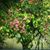 Terri McBee's profile image