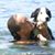 Sarah Fitzpatrick's profile image