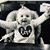 Tom Kidwell's profile image