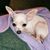 Margaret Roga's profile image