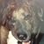 Mary Festante's profile image