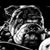 Vincent Flash's profile image
