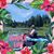 Amy Goldkamp Sauerlender's profile image