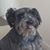 Shawna Corder's profile image