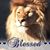 Raymond Gonzales Sr.'s profile image