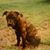 Amy Tamlin's profile image