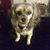 Robbi Schmenk's profile image