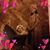 Maria Mora-Valtierra's profile image