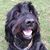 Rhonda Mitchell's profile image