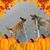 Jim Cherry's profile image