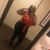 Janelle Clark's profile image