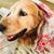Lauren Peebles's profile image