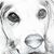 Mary Stump's profile image