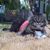 Pixi Waterworth's profile image