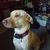 Tom Wichman's profile image