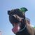 Kim York Voos's profile image